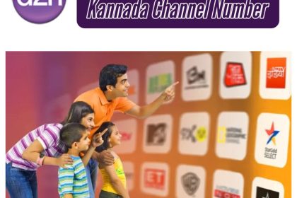 Videocon D2H Channel Number Latest