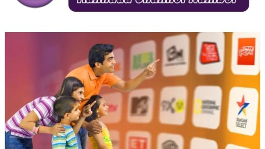 Videocon D2H Channel Number Latest